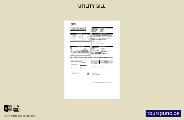 listo para imprimir plantilla de factura de servicios públicos de EE. UU. Texa 1